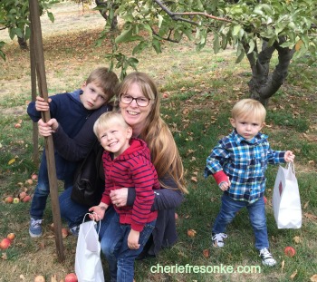 Apple picking with the grandkids