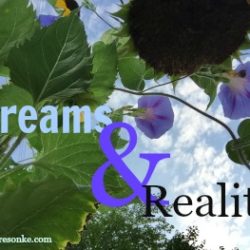 Dreams and Reality Hope