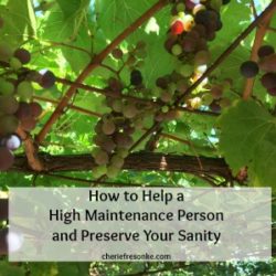 How to Handle a High Maintenance Person in 6 Easy Steps High Maintenance Person