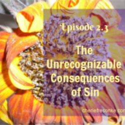 Episode 2.3–The Unrecognizable Consequences of Sin Consequences of Sin