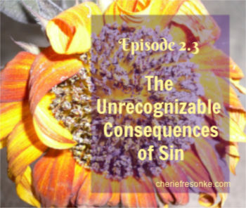 Episode 2.3–The Unrecognizable Consequences of Sin