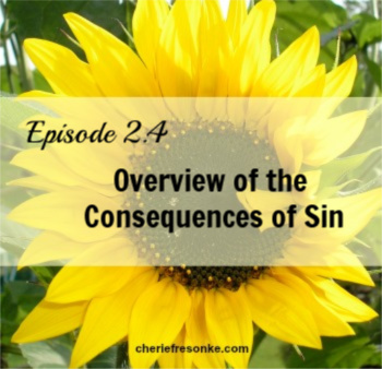 Episode 2.4–Overview of the Consequences of Sin