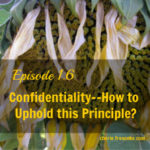 Episode 1.6–Confidentiality in Discipleship Ready to Harvest Sunflower