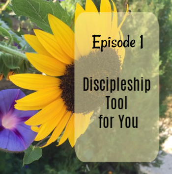 Discipleship Tool for You