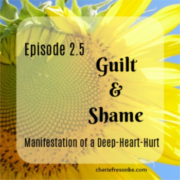 Episode 2.5–Guilt and Shame