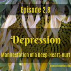 Episode 2.8–Depression Depression