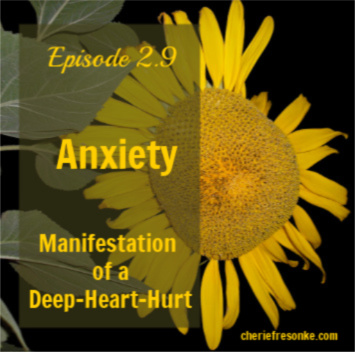Episode 2.9-Anxiety