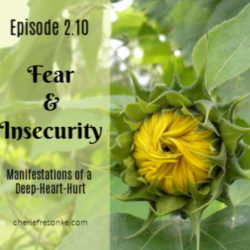 Episode 2.10–Fear and Insecurity Fear & Insecurity