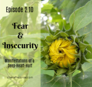 Fear & Insecurity